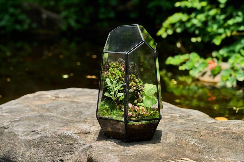 FISCRAT Metal Geometric Glass Planter | 7.9 * 6.9 * 9.8inch Rust-Proof Indoor/Outdoor Planter for Succulents, Air Plants | Space-Saving Vertical Design,a for Apartment Living and Plant Lovers - Image 5